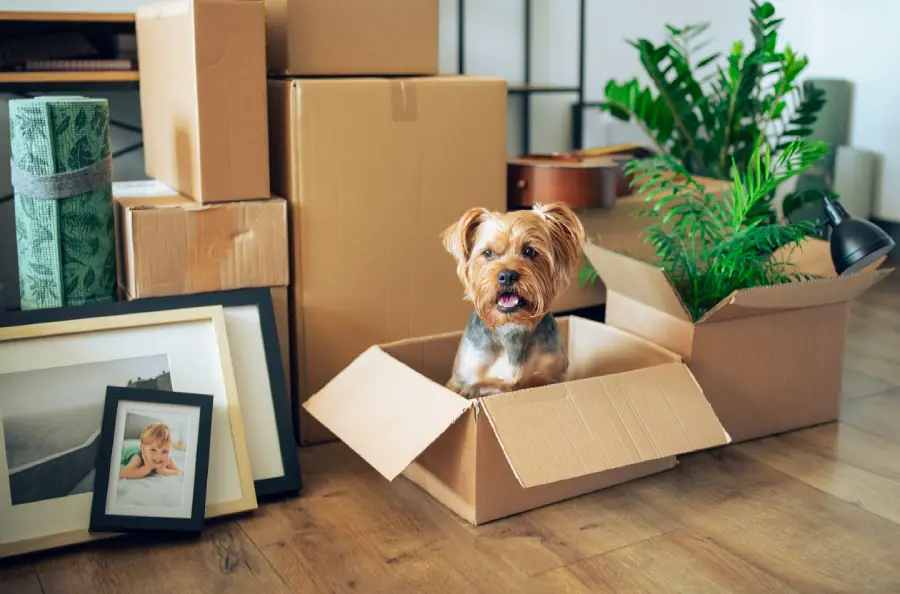 Family moving items into self-storage in Cookeville